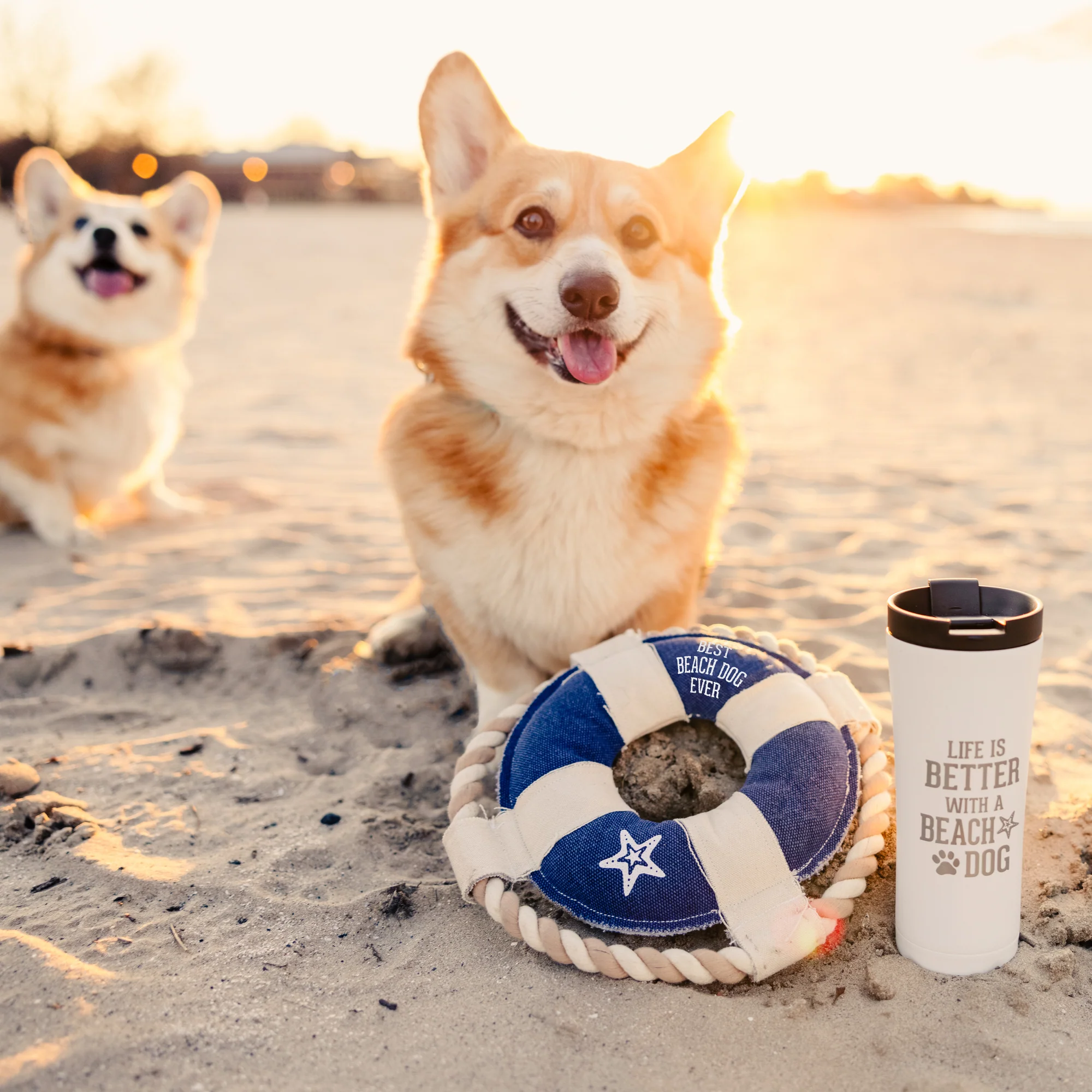 Beach Dog 17 oz Stainless Steel Travel Tumbler - Image 3