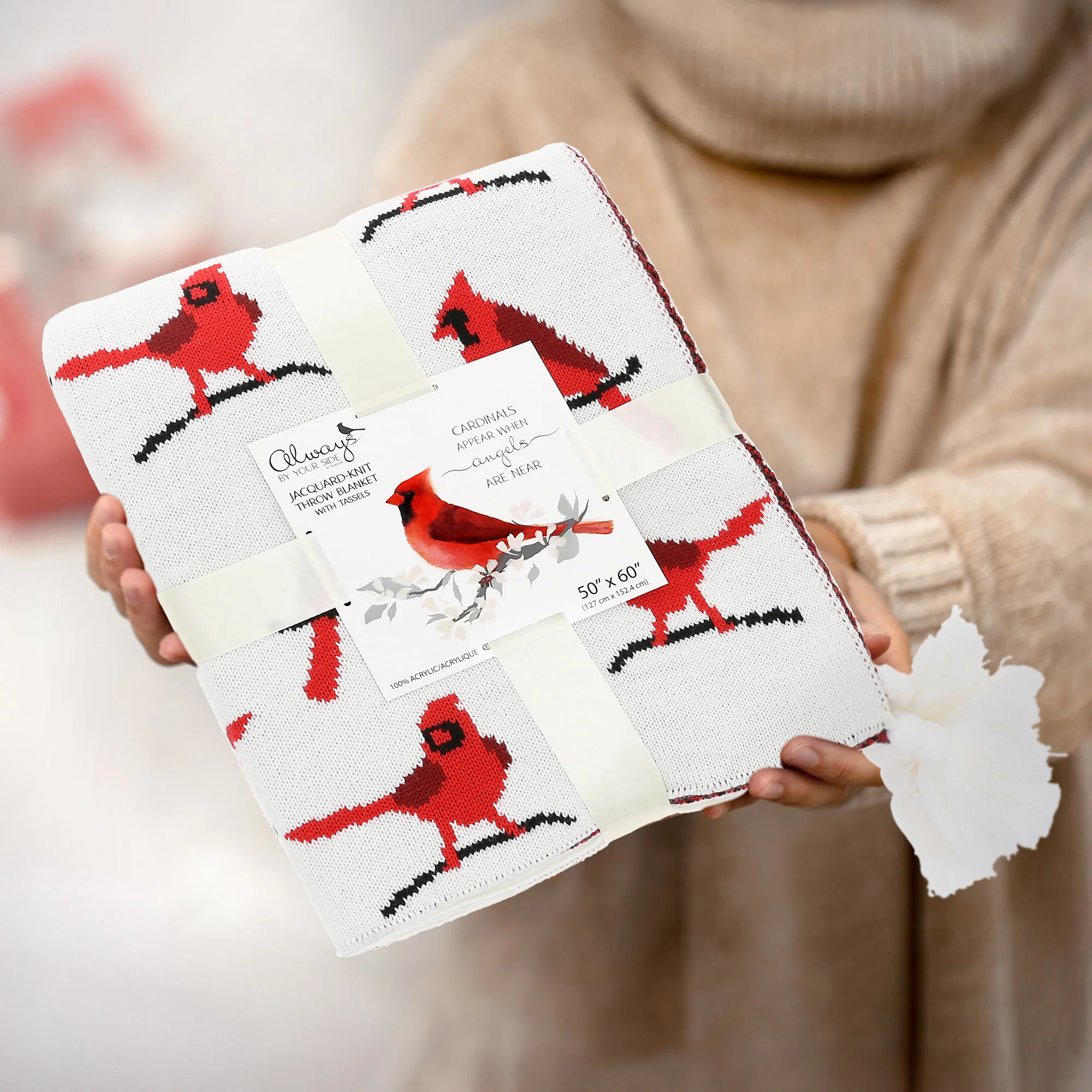 Cardinals 50" x 60" Knit Blanket - Image 4