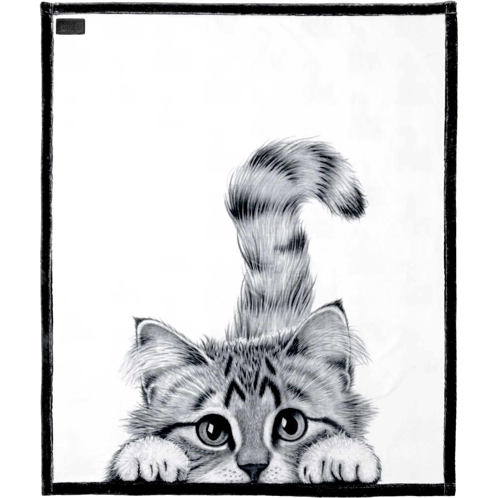 Cat 50" x 60" Royal Plush Blanket - Image 4