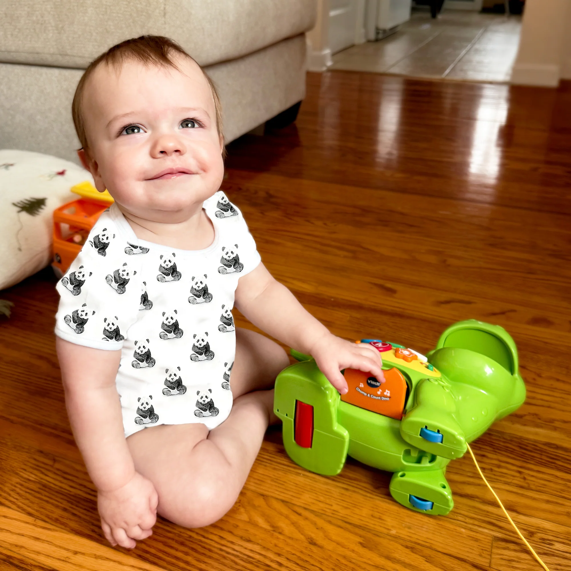Pandas 0-6 Months Bodysuit - Image 2