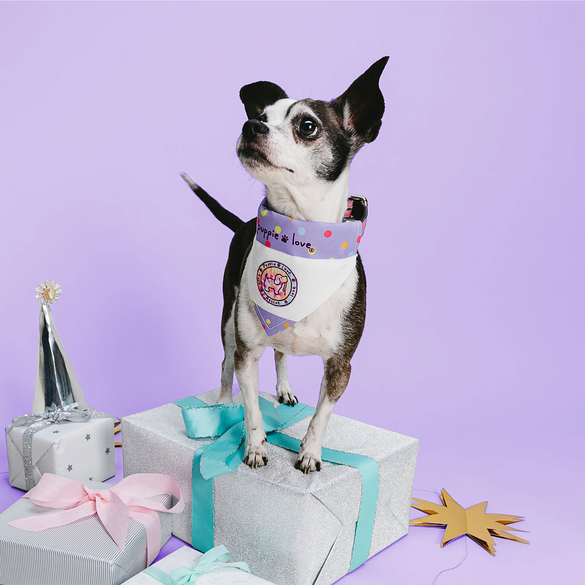 PinkTie Dye Filled Logo 7" x 5" Canvas Slip on Pet Bandana - Image 2