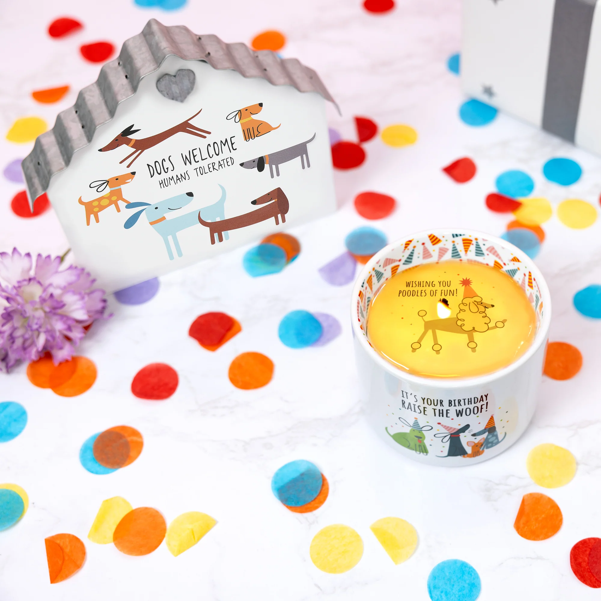 Raise The Woof 8 oz 100% Soy Wax Reveal, Single Wick Candle Scent: Tranquility - Image 3