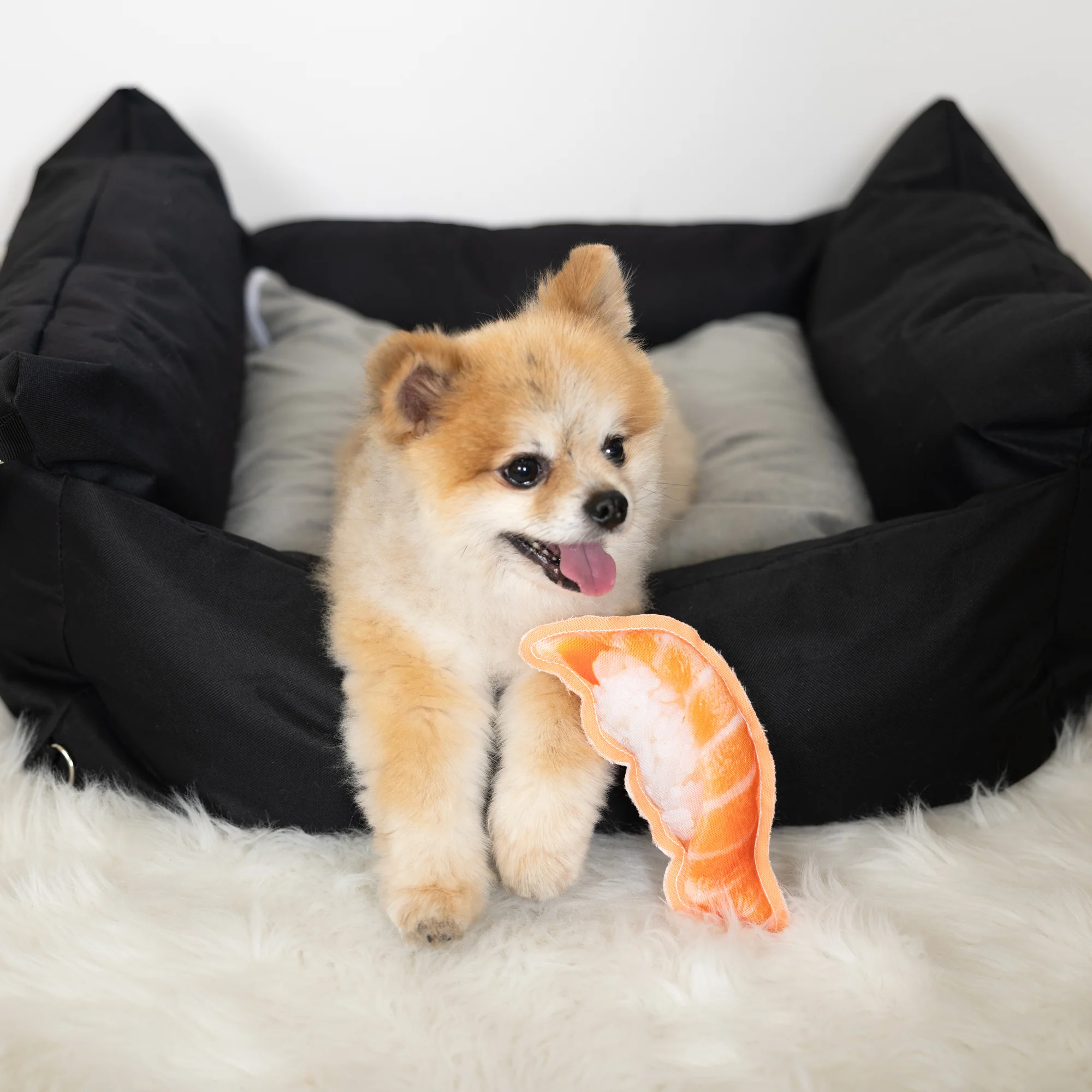 Sushi 7.5" Canvas Dog - Image 2